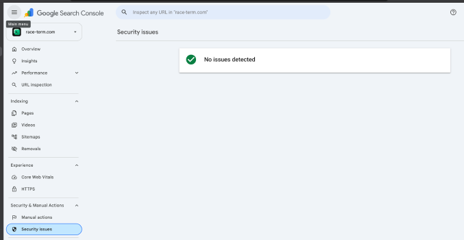screenshot of Google Search Console saying that race-term.com site is safe
